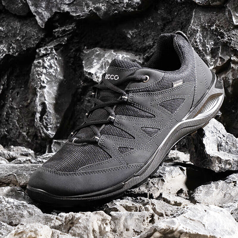 ECCO Terracruise Lt M Men's Sneakers Black Low GTX Outdoor Shoe