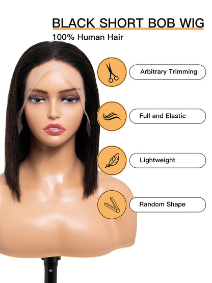 Short Bob Wig - 13x4 HD Lace Nature Black Human Hair Wig丨150 Density Wig丨Lewis and Ailsa